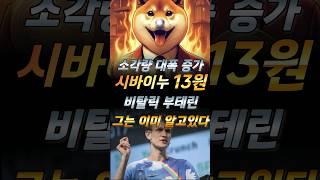 [ 시바이누 전망 ] 시바이누 코인 소각량 공개 역대급 급등 예상!! #도지코인 #비트코인 #시바이누코인 #이더리움