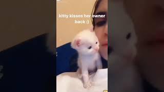 Cat is the best #funny #mycatchannel #catvideos #cat #pets #catschannel