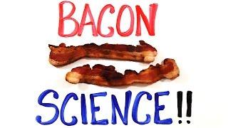 The Science of BACON!