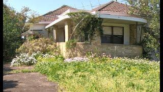 Neglected to Perfect: A JUNGLE took this OLD HOUSE! EPIC YARD RESTORATION