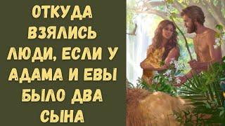 Откуда взялись люди на Земле, если у Адама и Евы было два сына