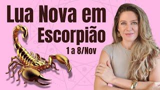 LUA NOVA EM ESCORPIÃO: Profunda e transformadora 1 a 8/Nov