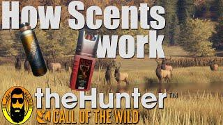 Scent Lures and Scent Eliminator Guide in thehunter Call of the Wild 2020