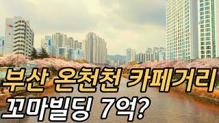 부산 온천천 카페거리 꼬마빌딩이 7억?