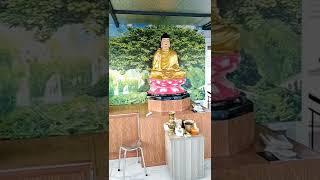 Tranh dán tường cây bồ đề 3d trang trí phòng thờ phật đẹp