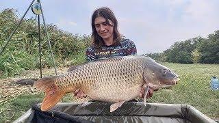 Рыбалка на карпа: команда Carp Catchers. Турнир 2+2, Марьевское водохранилище