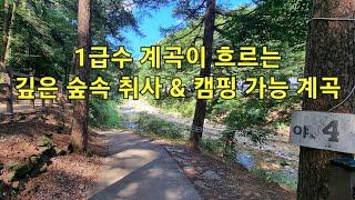 국내여행_서울근교 취사와 캠핑이 가능한 1급수 청정 계곡_당일치기 가능