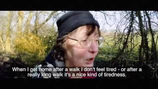 Introducing the GM Walking Festival 2017!