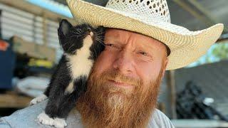 Farm Cats on my High Desert Homestead