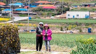 Cheongsando Island 청산도