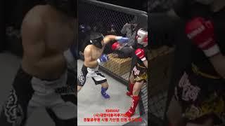 #shorts KMMAF (사)대한이종격투기연맹 #чемпион #соревнования allfc #корейский