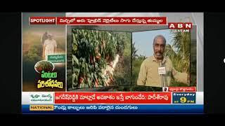 News About @RaviHybridSeeds  and Minister Tummala Garu on @abntelugutv