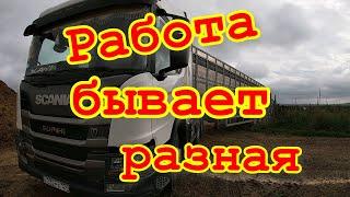 Работа , бывает разная.  Возим уголь и скот. 9 - 12 августа 2023 года.