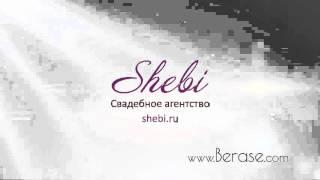 Создание рекламного ролика, заставки, инфографики. Анимационный ролик Shebi