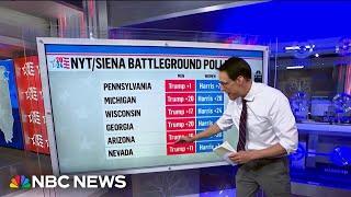 Steve Kornacki: 2024 polls show a 'significant' gender gap