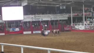 Bull madness at TVE Rodeo in Liberty, Texas 2015