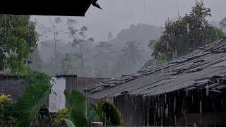 My village often rains heavily almost every day, insomnia disappears, sleep is always sound-Indorain