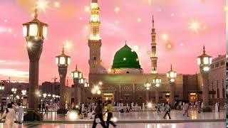 درِ نبی پہ پڑا||New Naat Sharif||Best Naat In The World||#youtube #viralvideo #fyp #vlog