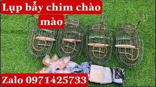 Lụp bẫy chim chào mào  sai gòn lụp bẫy chim hút mật 0971425733_ hoàng anh săn bẫy