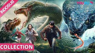 INDO SUB (Snake 3 & Snake 4) Ular raksasa yang bermutasi menyerang semua orang! | YOUKU