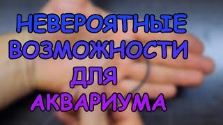 НЕВЕРОЯТНЫЕ ВОЗМОЖНОСТИ ДЛЯ АКВАРИУМА #АКВАМЕН