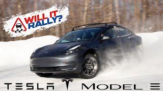 The Tesla Model 3. Will It Rally?