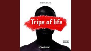 Trips Of Life
