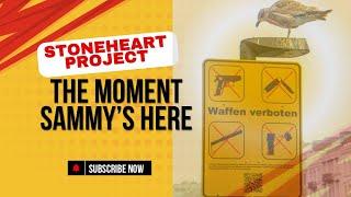 Stoneheart Project - The Moment Sammy's Here ️