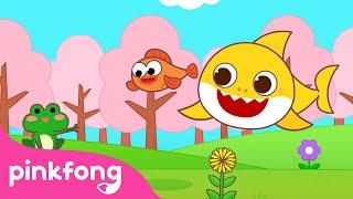 Hello, Spring is Here  | Spring Season | Weather for Kids | Spring Songs | Pinkfong Baby Shark