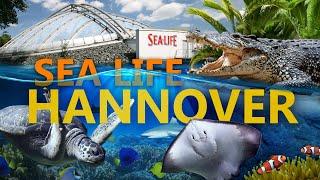 SEA LIFE Hannover - Von der Leine bis in den Ozean! | Zoo-Eindruck