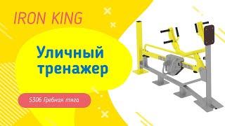 Outdoor exercise machine Iron King. Propeller S306