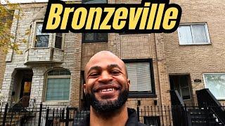 Homes For Sale in Chicago: Bronzeville New Renovation???