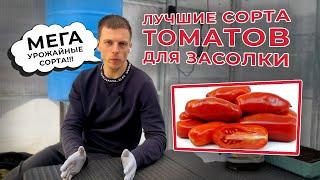 Лучшие МЕГА урожайные сорта томатов для засолки!