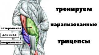 Упражнения на слабые трицепсы. Шейник с5.