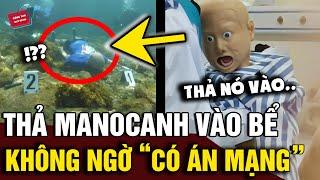 Dùng 'MA NƠ CANH' thả vào bể nước để quay clip, cảnh sát đến nơi 'RÙNG MÌNH' phát hiện | Động Tiin