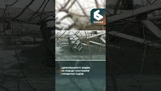 Власти Владимира пообещали согласовывать с жителями этапы работ по благоустройству садов за ДДюТ