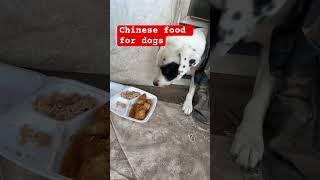 Chinese food for dogs  #music #dogexercise #fitness #puppy #fitdog #dogexercise