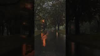 Walk in nyc #USA#usa #travel# cold #rain#park #youtubeshorts#illinois  #youtubers #ytshorts