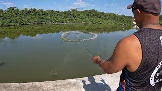 Sobrevivência e Aventura em Dois Dias de Pesca De Tarrafa