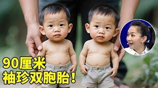 中国首例袖珍双胞胎兄弟,身高仅90厘米,8岁离家学艺,如今坐拥90万粉丝过得怎样了【王芳王为念访谈】
