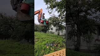 최첨단 로봇 감따는 기계 #청년농부진이 #첨단 #로봇 #수확기 #드럼통 #굴삭기 #farming #진이미나리