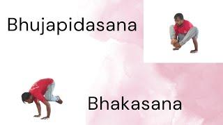 Manjunath B.S‍️Yoga #bhujapidasana #bhakasana