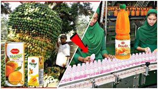 ফ্যাক্টরিতে কিভাবে Pran Mango Juice তৈরি করা হয়! গোপন তথ্য ফাঁস, Pran mango juice factory process