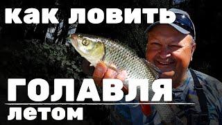 КАК ЛОВИТЬ ГОЛАВЛЯ летом на воблеры и блесны|Тест Crazy Fish Levin 6'2" LT|Рыбалка на реке