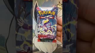 Scarlet Violet Base week D3 #pokemon #pokemoncards #pokemonscarletviolet  #pokemoncommunity #shorts