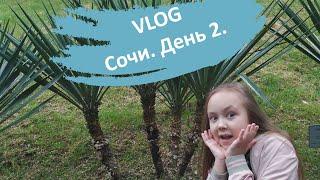 VLOG.Сочи.День 2.Бассейны и пляж ОК Дагомыс. Гуляем с собакой и считаем кошек.GOLD FEST