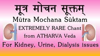 Mootra Mochana Suktam | RARE CHANT | Atharva Veda | Treating Kidney & Urinary Issues | Sri K Suresh