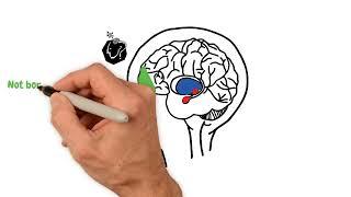 BrainWise Wizard Brain vs Lizard Brain