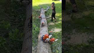 Lied on job application￼. #outdoorwork #woodwork #wtf #fail #chainsaw #treework #work #farming #farm
