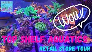 Top Shelf Aquatics Retail Store Tour